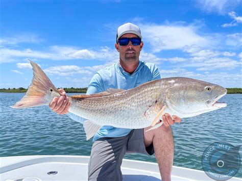 New Smyrna Beach Fishing Charters - New Smyrna Beach Fishing Charters