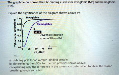 SOLVED: The graph below shows the O2-binding curves for myoglobin (Mb ...