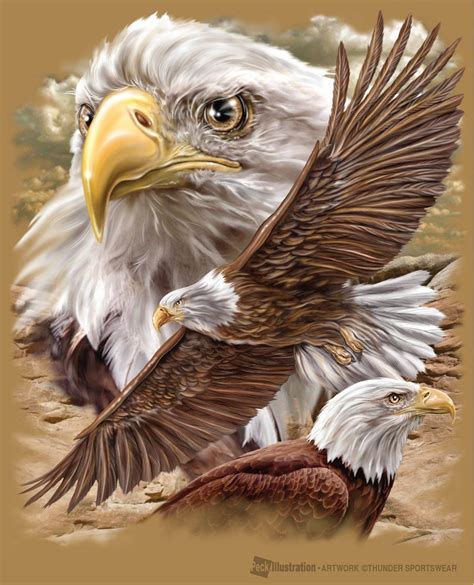 Eagle Collage | The eagles, Arte de águila, Imágenes de pájaro