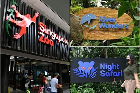 Two wildlife parks in Mandai could be further delayed due to Covid-19; River Safari to get new ...