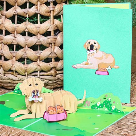 Best pop up cards for animal-lovers