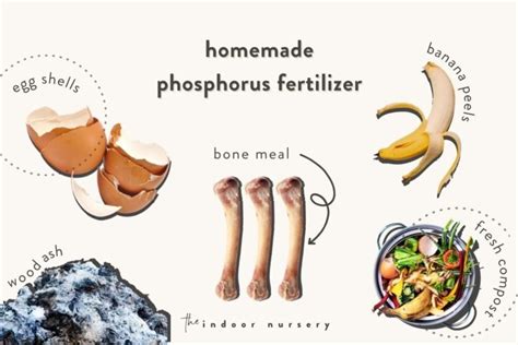 Homemade phosphorus fertilizer: Easy all natural DIY fertilizer in your kitchen