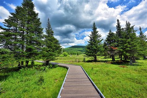 Canaan Valley National Wildlife Refuge - boardwalk - West Virginia Photograph by Brendan Reals ...