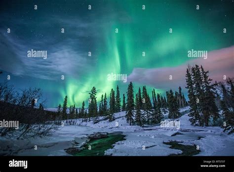 Northern lights above Fish Lake, Whitehorse, Yukon, Canada Stock Photo ...