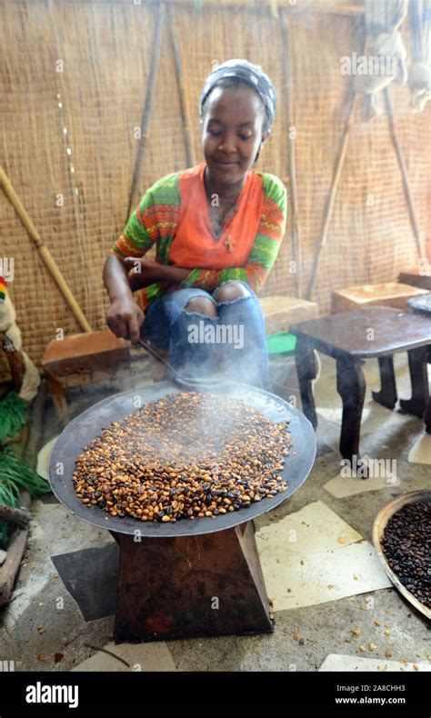 A young Ethiopian woman roasting coffee beans in preparation of ...