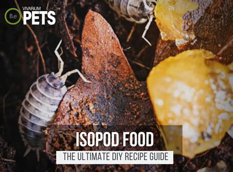 What Do Isopods Eat? + A Fun DIY Isopod Food Recipe!