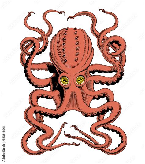 Octopus or Kraken hand drawing high-detailed vintage engraving vector ...