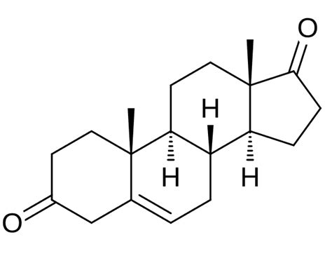 5-Androstenedione - Wikiwand