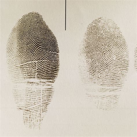 Fingerprint | Definition & Facts | Britannica