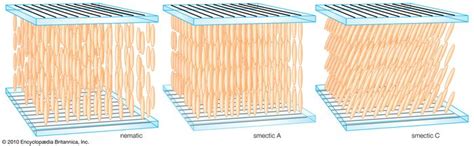 Nematic phase | physics | Britannica