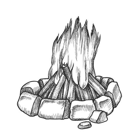 Campfire Clipart Black And White