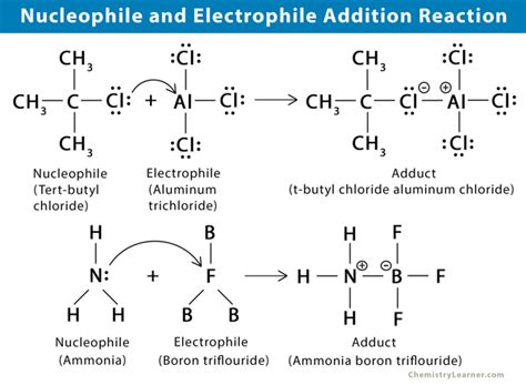 Electrophile: Definition, Strength, and Examples