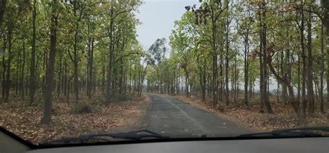 Santiniketan: Rabindranath Tagores Eternal Abode - Tripoto