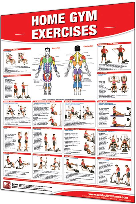 Productive Fitness 24” x 36” Laminated Fitness Poster / Wall Chart ...