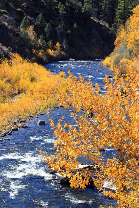 Mammoth Lakes – California Fall Color | Mammoth lakes, Mammoth lakes california, Mammoth