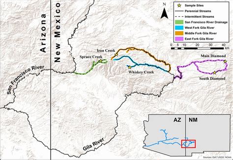 Map of Gila Trout sample localities. Stars represent sample sites and ...