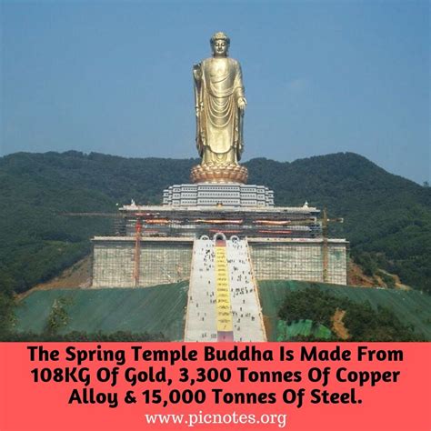 The Spring Temple Buddha | Spring temple buddha, Statue, Buddha