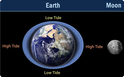 Tides ( Read ) | Earth Science | CK-12 Foundation