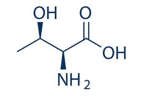 L-Threonine | 98%(HPLC) | In Stock | Others chemical