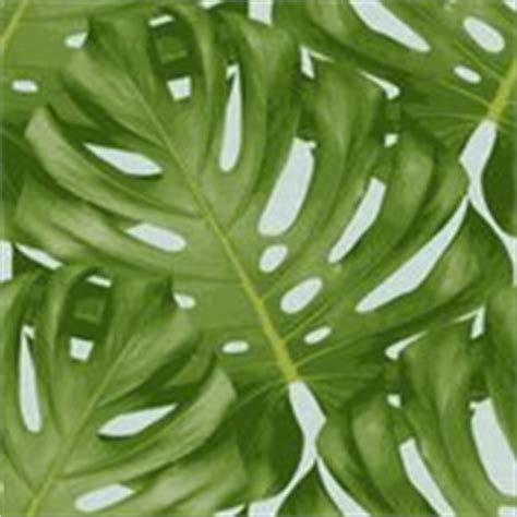 Monstera Leaf wallpaper - littlerhodydesign - Spoonflower