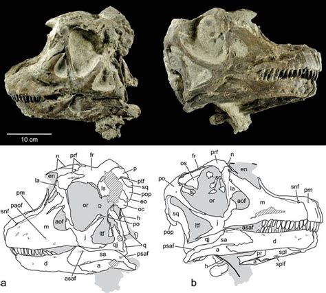 Abydosaurus | Prehistory Wiki | Fandom