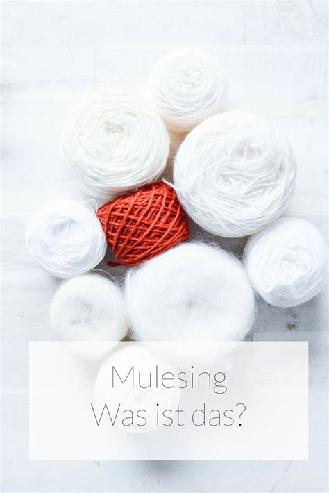 Mulesing Meaning