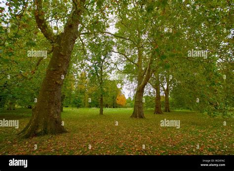 Kensington Gardens, London Stock Photo - Alamy