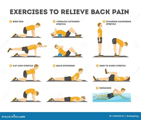 Exercise Set To Relieve Back Pain. Stretching and Training Stock Vector - Illustration of figure ...