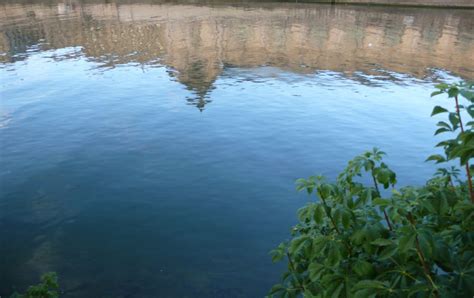 Beautiful Reflections on the Seine River - Paris Perfect