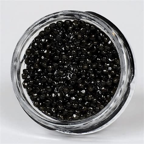 American Imperial White Sturgeon Caviar