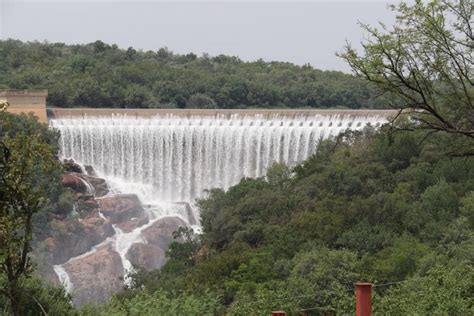 Roodeplaat Dam 102% full, March 2016 - Birdwatcher Nature Trips