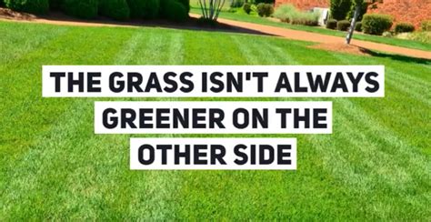 The Grass Isn't Always Greener On the Other Side!