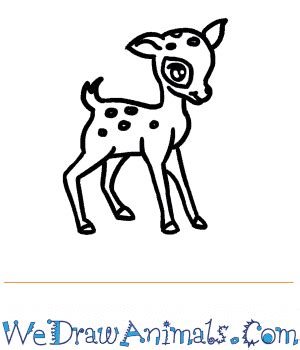 How to Draw a Baby Deer