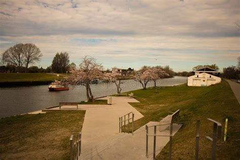 Kaiapoi River editorial stock image. Image of spring - 100013929