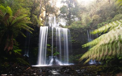 How to visit Russell Falls Tasmania: The Iconic Waterfall