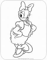 Daisy Coloring Pages Disney sketch template
