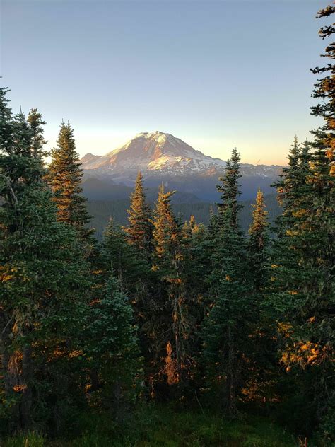 Photos of Summit Lake Trail - Washington | AllTrails