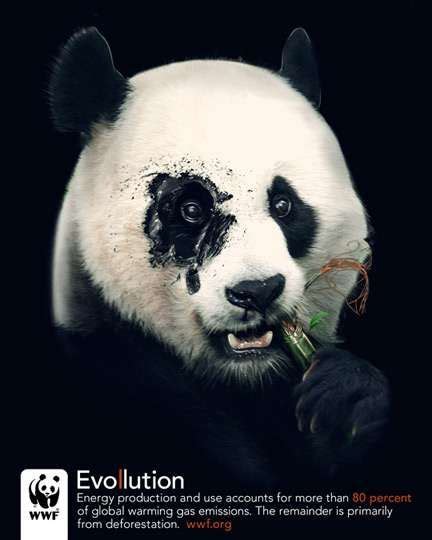 Toxic Animal Ads The WWF Evollution Campaign Looks to Send a Clear Message | Wwf poster, Wwf ...