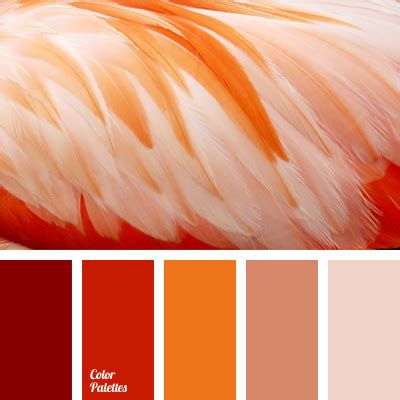 orange monochrome color palette | Color Palette Ideas