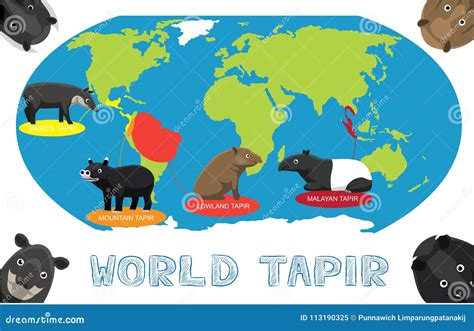 Baird`s Tapir Cartoon Background Seamless Wallpaper Vector Illustration ...