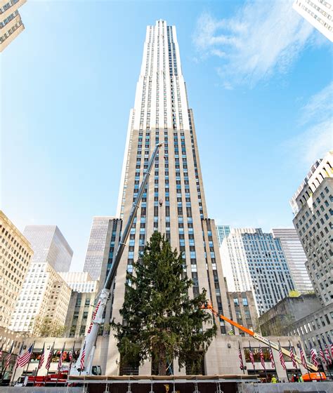 Christmas in Rockefeller Center: How to watch 90th annual event live ...