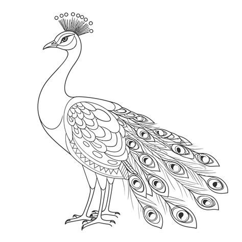 King Of Peacock Coloring Sheet Outline Sketch Drawing Vector, Wing Drawing, Ring Drawing, King ...