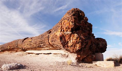 Petrified Forest National Park Topo Map, Apache County AZ (Adamana Area)