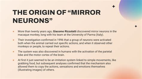 Mirror Neurons: The Power of Imitation in the Learning Process