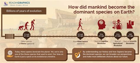 Homo Sapiens Evolution Timeline