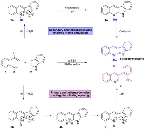 Indole annulation or indole ring-opening – Chemical Science Blog