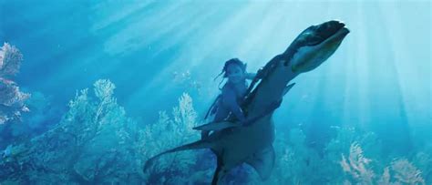 How Did The Upcoming 'Avatar 2: The Way Of Water' Film 3D Underwater ...