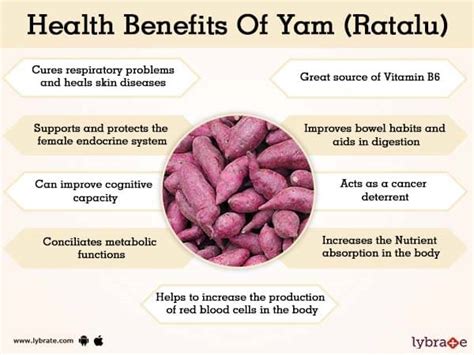 Yam (Ratalu) Benefits And Its Side Effects | Lybrate