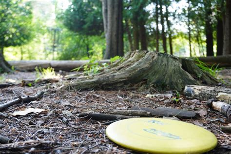 8 Best Disc Golf Courses In Minnesota: North Star State Disc