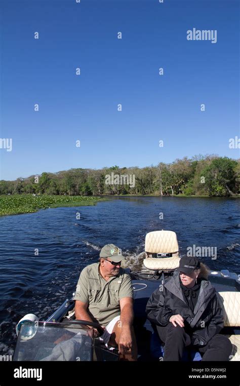 St johns river wildlife hi-res stock photography and images - Alamy